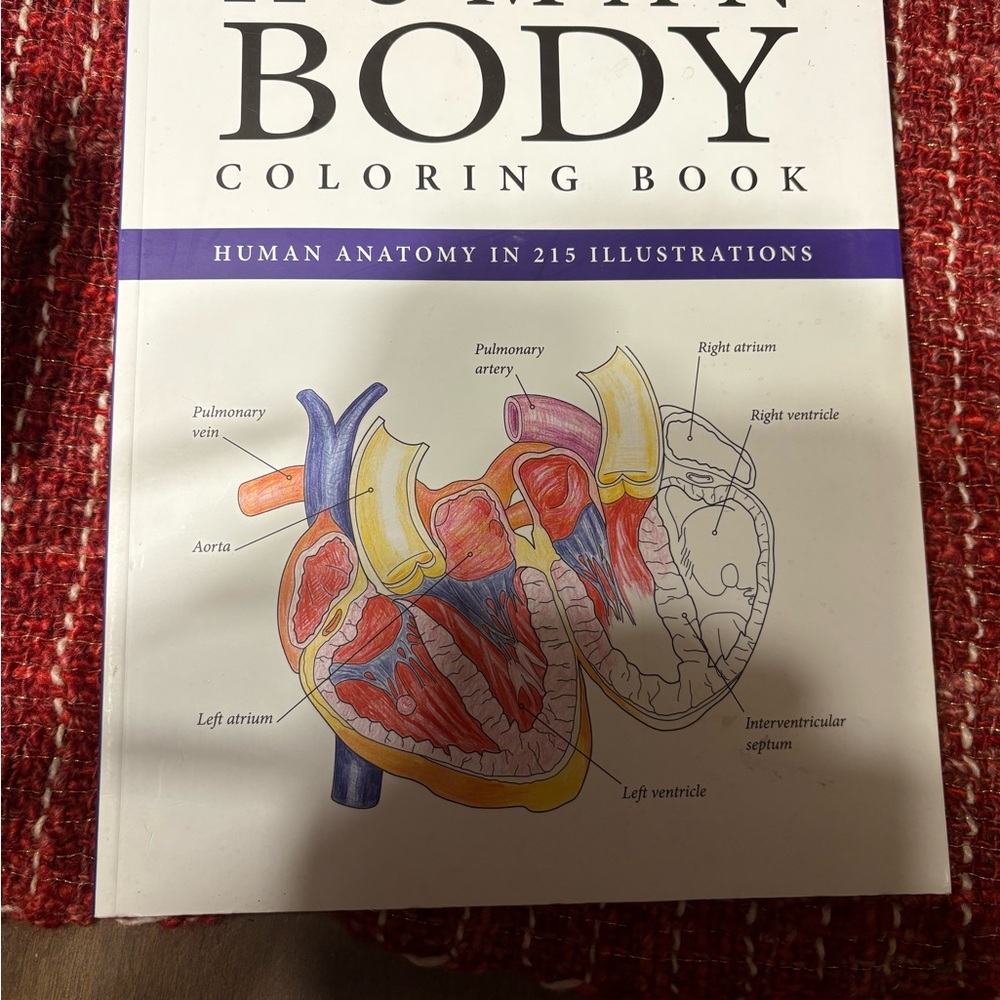 Human Body Coloring Book - Picture 2 of 15